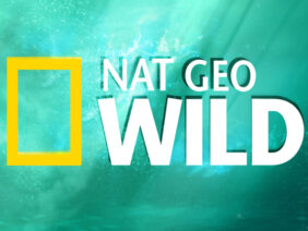 Nat_Geo WILD
