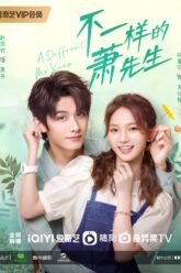 A Different Mr. Xiao poster