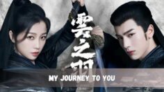 My Journey to tát You poster